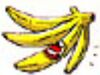 King banana.jpg