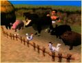 The "Top Breeder Championship" is held at Tazmily's Idobada Square. The winner, Butch, takes the gold trophy with his collection of "beautiful" and "elegant" animals pictured above.*