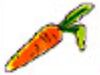 Carrot key.jpg